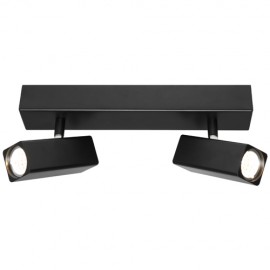 Cougar-Artemis 2 x 5W 2lt Rail Spotlight - Black & White